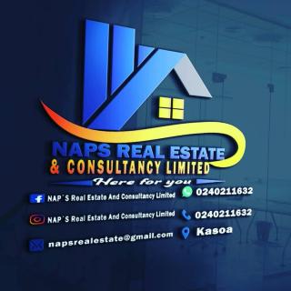 NAPS Real Estate And Consultancy