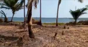 property Cover Image